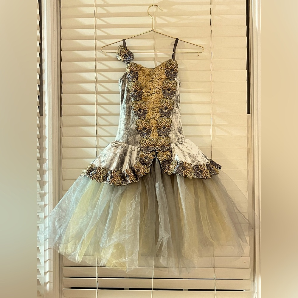 grey and gold ballet costume with poofy skirt.